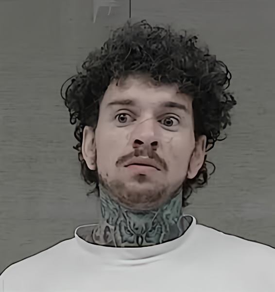 Mugshot of KEVIN SEYMOUR ROLLINS
