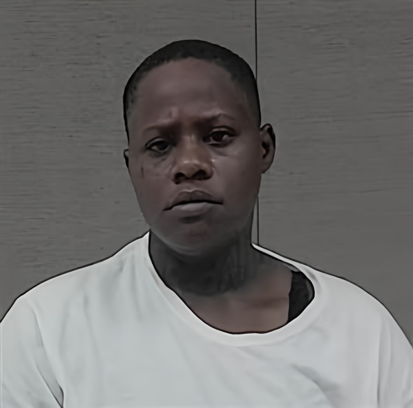 Mugshot of KENDRA NACHELLE SNIPES