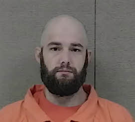 Mugshot of TAYLOR ALLEN ANDERSON