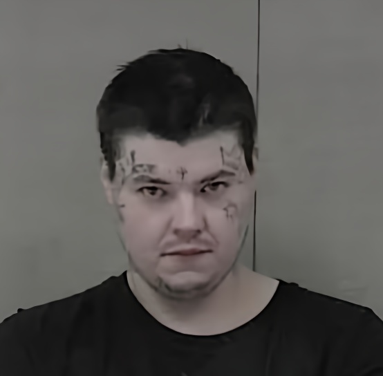 Mugshot of MICHAEL BRIAN LEWIS