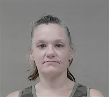 Mugshot of EMILIE DAWN NORRIS