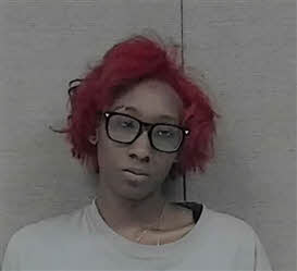Mugshot of DANNA'JA YORK