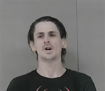 Mugshot of BRANDON WAYNE INMAN