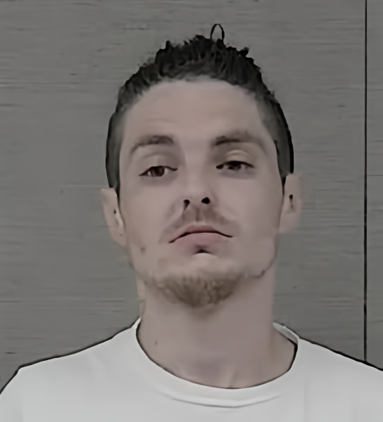 Mugshot of JESSIE DANZIG ROBINSON