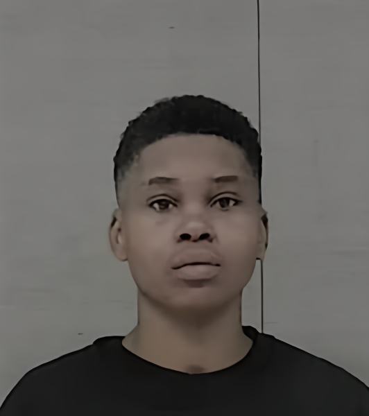 Mugshot of ALENA CHARNICE JOHNSON