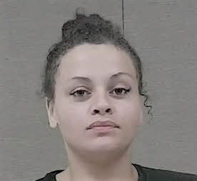 Mugshot of ALLYSSA MARIE FINK