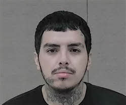 Mugshot of MARIO ALBERTO CARDENAS