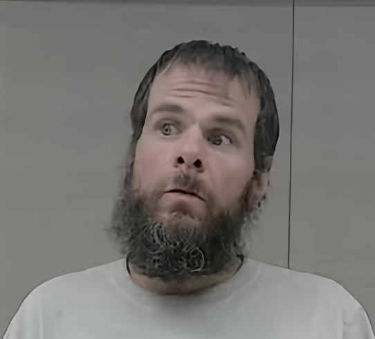 Mugshot of JAMES DONALD JR STRICKLAND