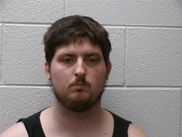 Mugshot of ANDREW BAINES HARDIN