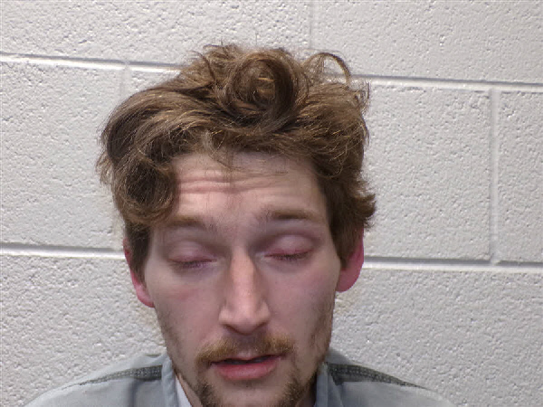 Mugshot of WILLIAM LYNK RAY