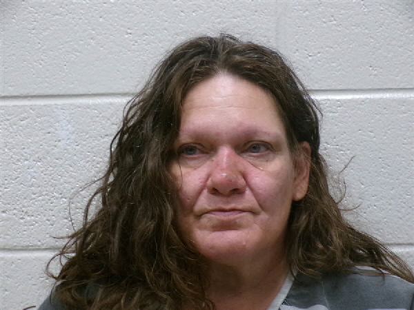 Mugshot of RONDA DIANE SIMMONS