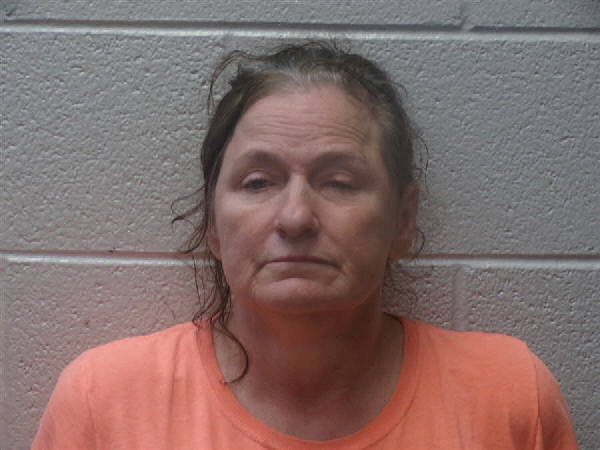 Mugshot of TAMMY IRENE WALKER