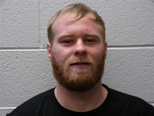 Mugshot of DAVIDSON TALMADGE MCCARSON