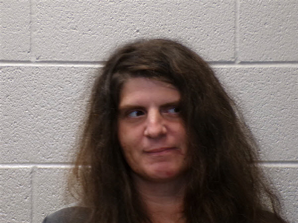 Mugshot of SALENA ANNE BISHOP