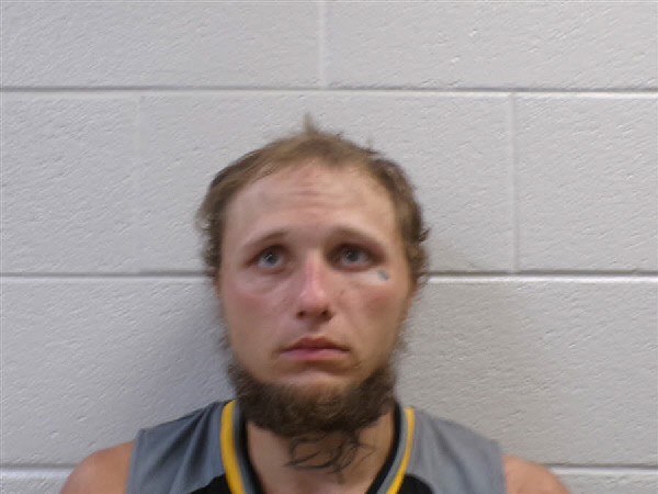 Mugshot of TYLER JORDON FARMER