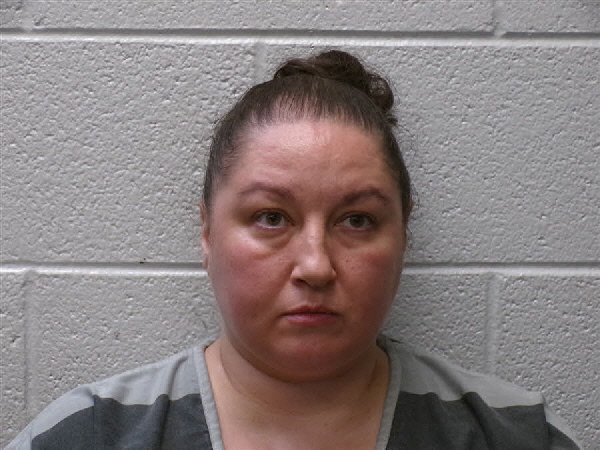 Mugshot of TONI LACHELLE DAVIDSON