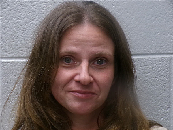 Mugshot of SHANNON ANNETTE DILLIN
