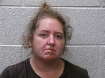 Mugshot of AMANDA SADIE MATHIS