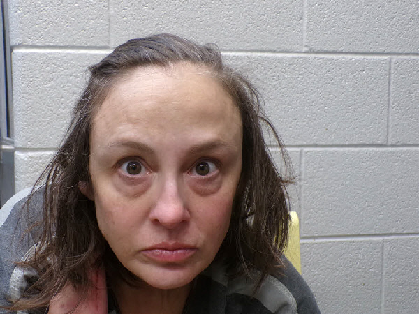 Mugshot of STEPHANIE HAUN TAYLOR