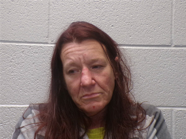 Mugshot of ANGELA SHEEHAN