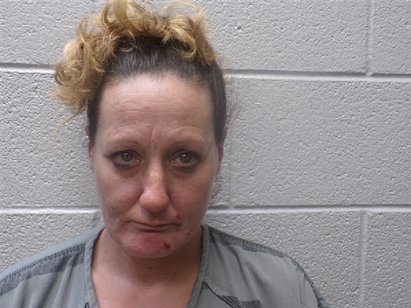 Mugshot of JENNIFER SUSAN WILSON