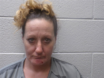 Mugshot of JENNIFER SUSAN WILSON