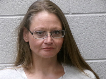 Mugshot of MICHELLE RENEE VOGEL