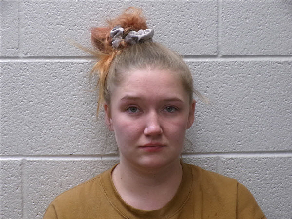 Mugshot of JESSE RENEE GOSNELL