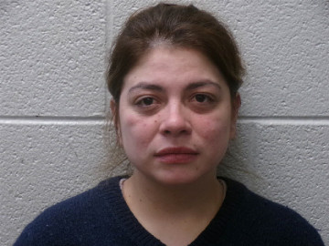 Mugshot of ESTEFANY JUDITH CARVAJAL ABAUNZA
