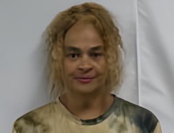 Mugshot of JANNIE LEE CUMMINGS