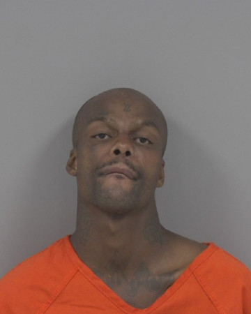 Mugshot of ERVING FRANCIS