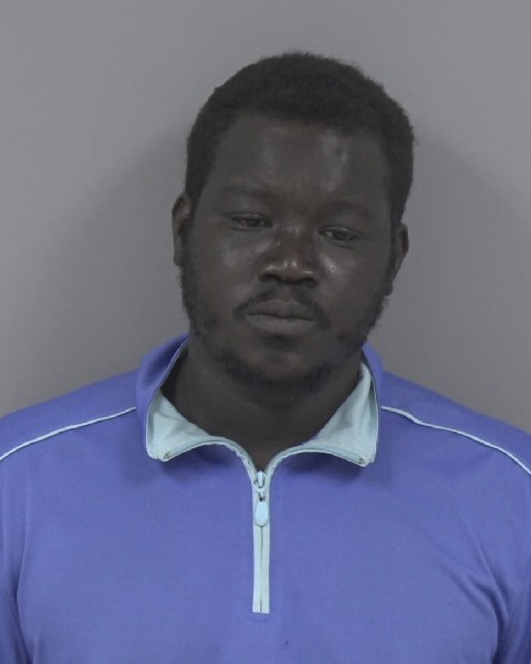 Mugshot of MANYEL NGONG