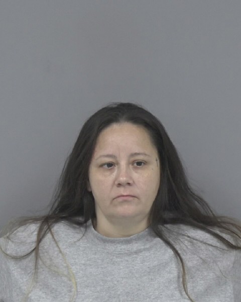 Mugshot of LISA VALDEZ