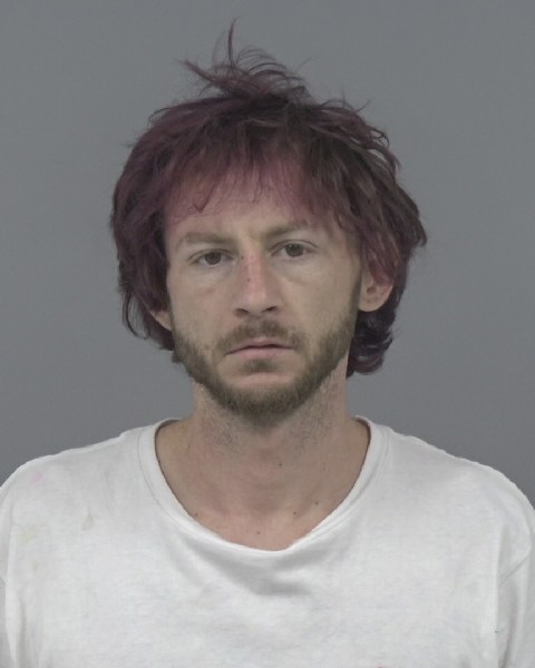Mugshot of DANIEL WALKER