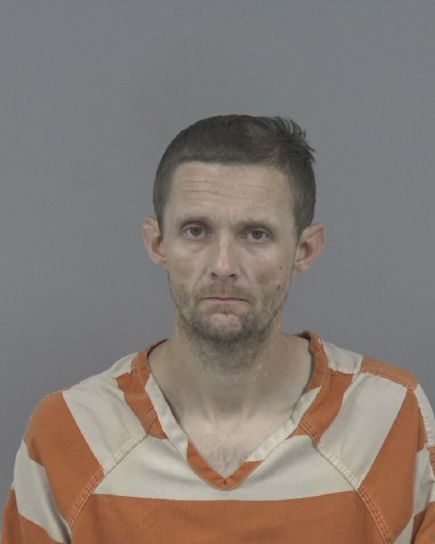 Mugshot of SHANNON JACKSON