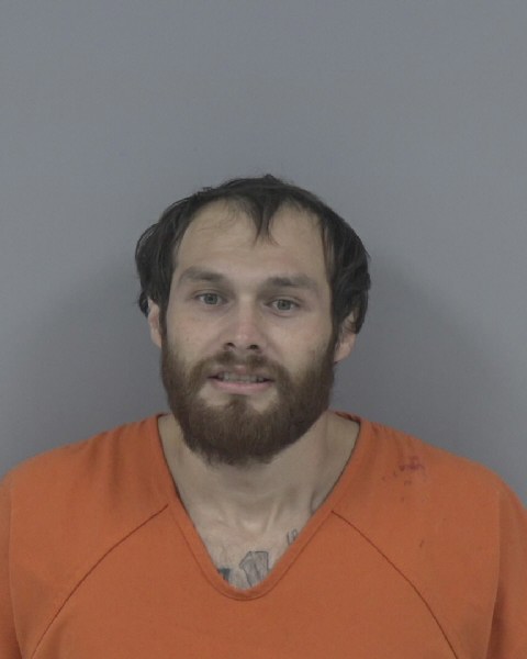 Mugshot of MICHAEL WILLIS