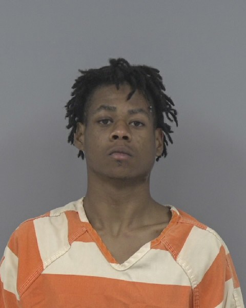 Mugshot of CARMIRE WHITE