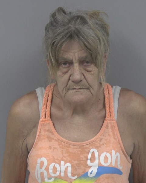 Mugshot of MELODY WOMACK