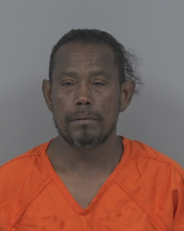Mugshot of PETRONILO HERNANDEZ