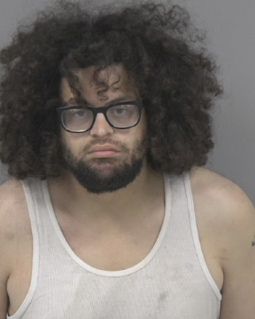 Mugshot of JOHN NORMAN