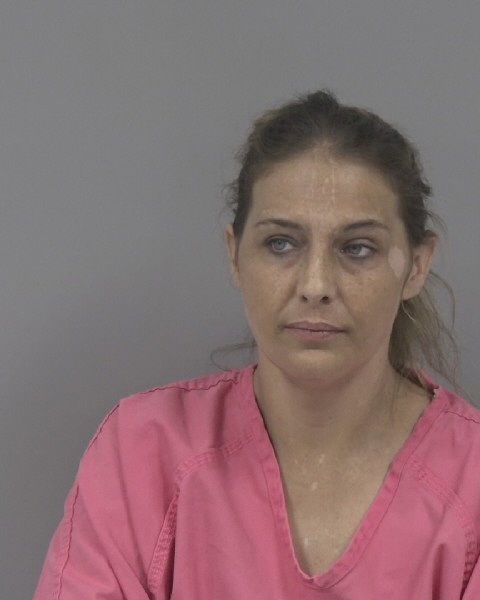 Mugshot of HEATHER ARREAGA