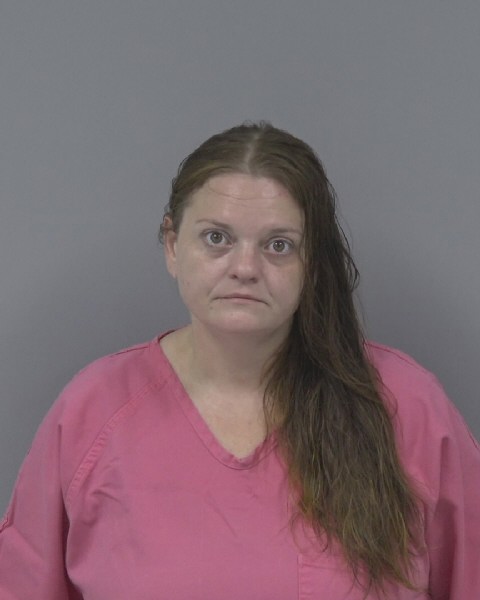Mugshot of ALISA PROCTOR