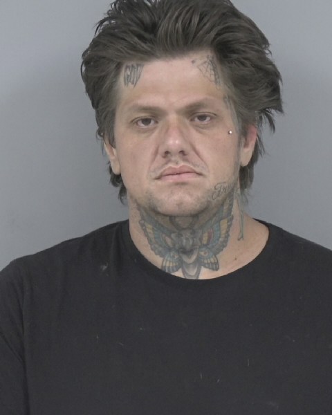 Mugshot of RIO GREEN
