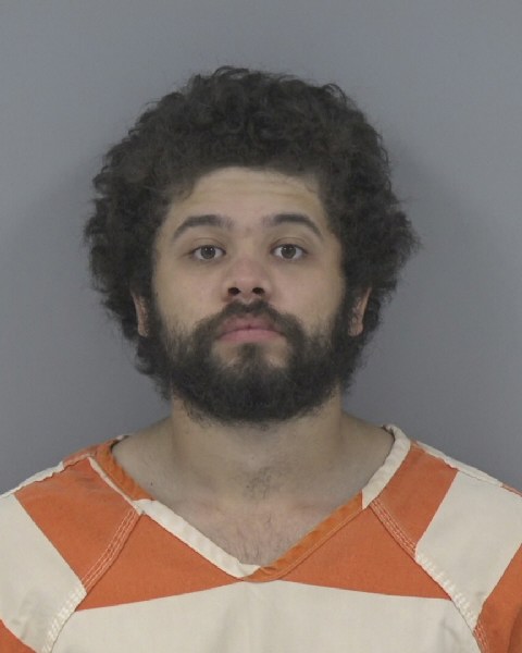 Mugshot of DEJARIAN LADAY