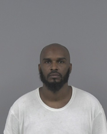 Mugshot of RAUNEL MIDGETTE