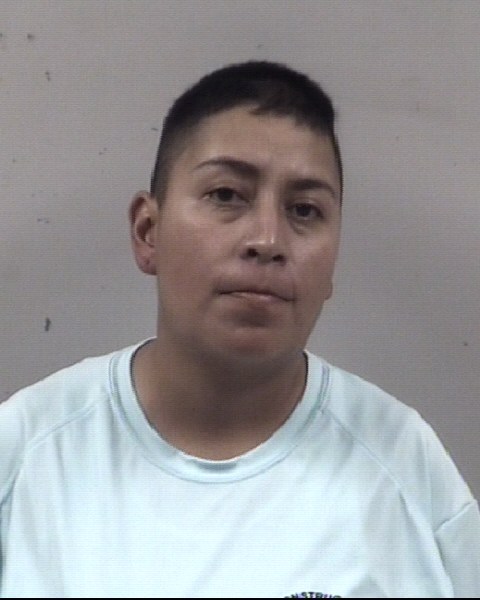 Mugshot of NORMA CASTILLO-FUENTES