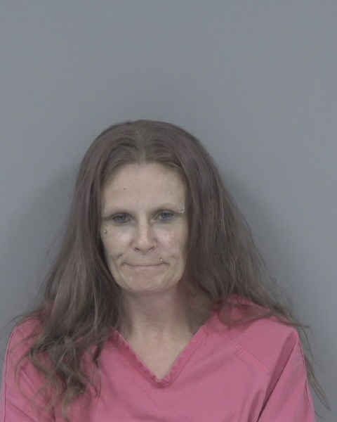 Mugshot of CRYSTAL TOLER