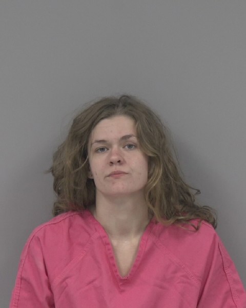 Mugshot of IVY NILES