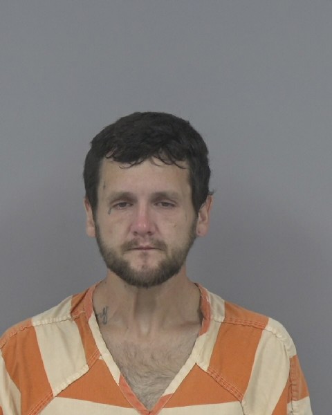 Mugshot of SETH WILLIAMS