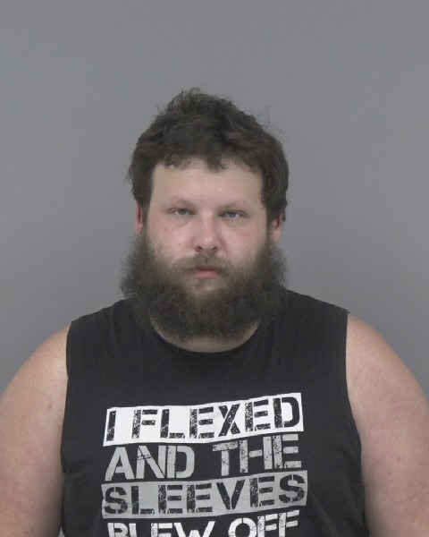 Mugshot of DAMIEN WILLIAMS